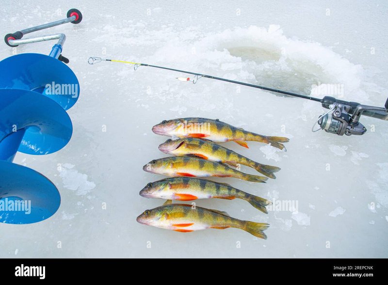 Experience the Chills of Ice Fishing at UK's Top Live Casinos